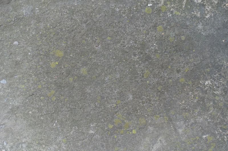 Concrete Floor Staining in Dallas, TX