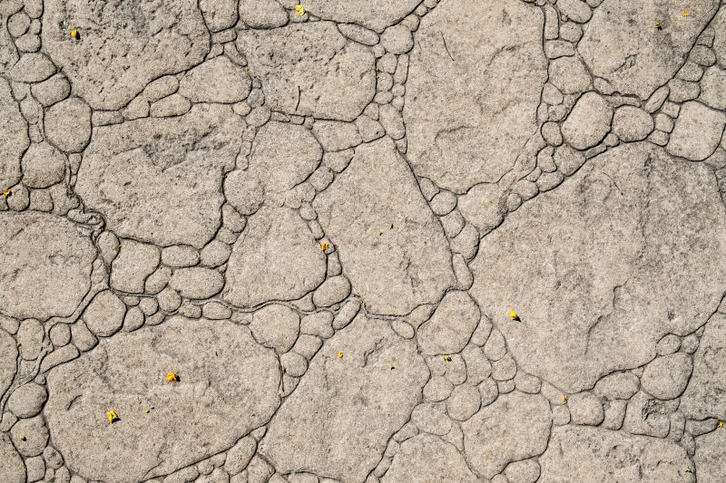 Decorative Concrete Repair in Lansing, MI